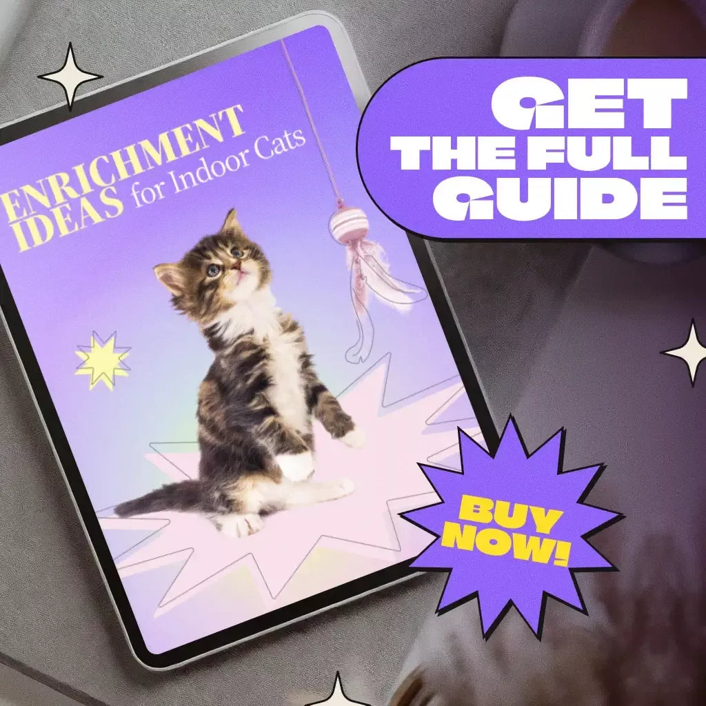Enrichment Ideas for Indoor Cats | Printable Cat Enrichment Guide | DIY Toys, Play Routines, and Cat-Friendly Home Tips