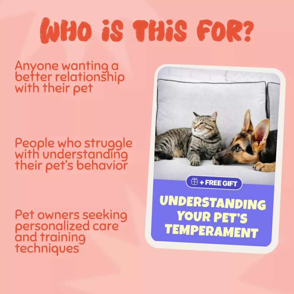 Understanding Your Pet’s Temperament: A Complete Guide to Decoding Dog and Cat Behavior for Better Care and Training
