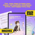 Enrichment Ideas for Indoor Cats | Printable Cat Enrichment Guide | DIY Toys, Play Routines, and Cat-Friendly Home Tips
