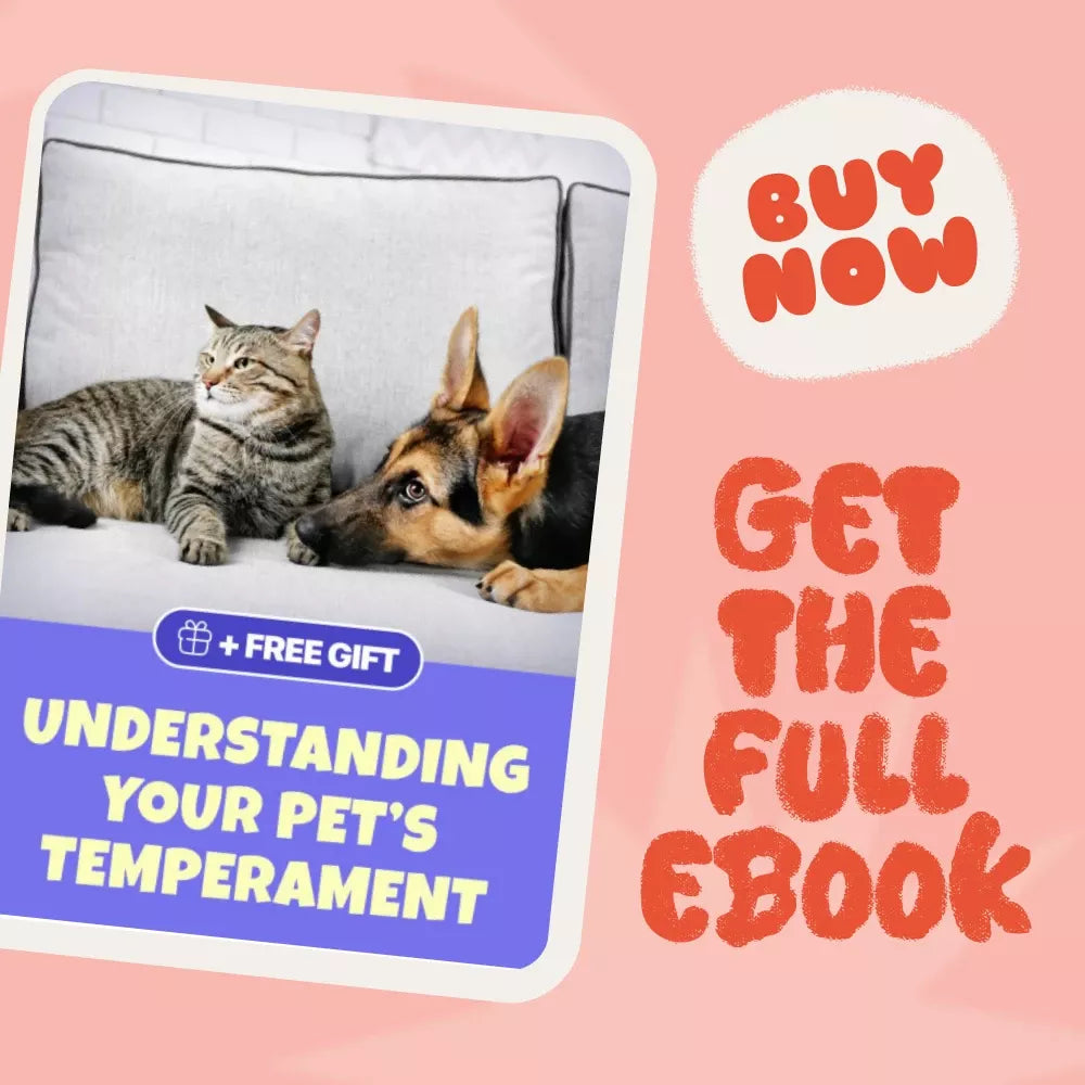 Understanding Your Pet’s Temperament: A Complete Guide to Decoding Dog and Cat Behavior for Better Care and Training