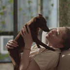 Understanding Your Pet’s Temperament: A Complete Guide to Decoding Dog and Cat Behavior for Better Care and Training