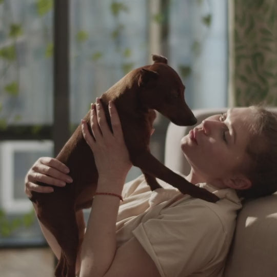 Understanding Your Pet’s Temperament: A Complete Guide to Decoding Dog and Cat Behavior for Better Care and Training